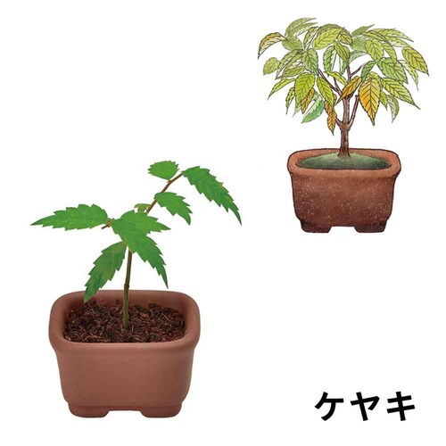 ��Ă�J�v�Z�� �܂ߖ~�� GD-954 �y�v���U�Z���N�g�z_8