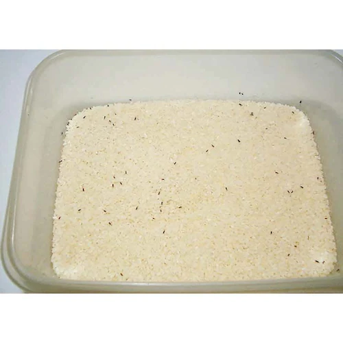 アラミック お米まもる君プラス 【プラザセレクト】【代引き不可】_6