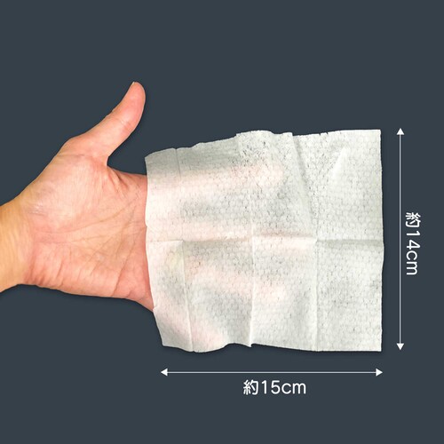 ���[�N���� BOKBOK �{�N�{�N �A�C���C�v�i3���j�y�b�g�p�E�F�b�g�V�[�g_4