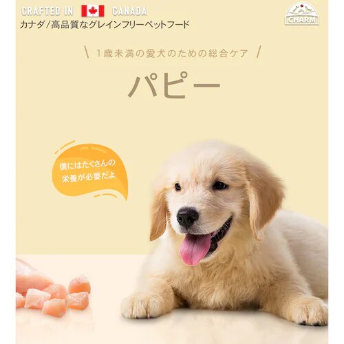 �`���[���@�p�s�[�@�Pkg_2