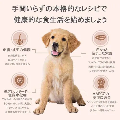 �`���[���@�p�s�[�@�Pkg_6