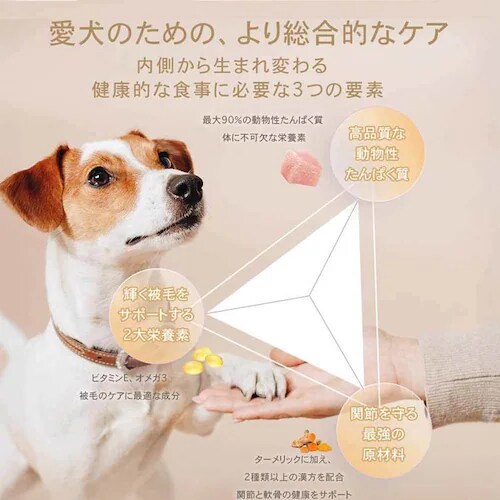 �`���[���@�p�s�[�@�Pkg_11