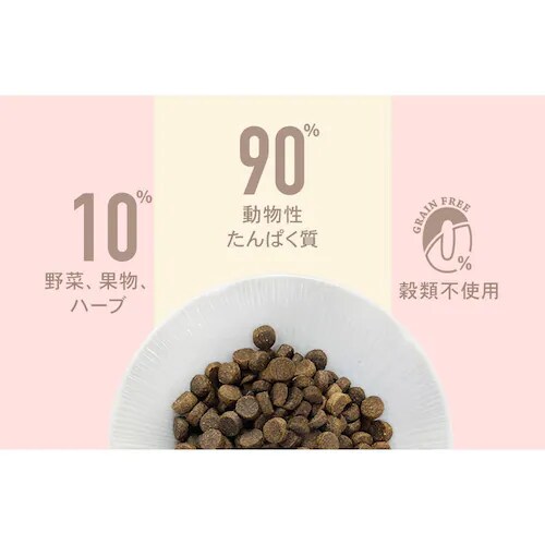 �`���[���@�A�_���g�h�b�O�@340g_4