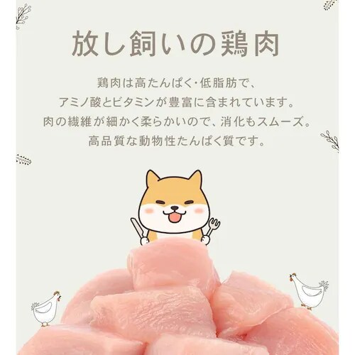 �`���[���@�A�_���g�h�b�O�@340g_6