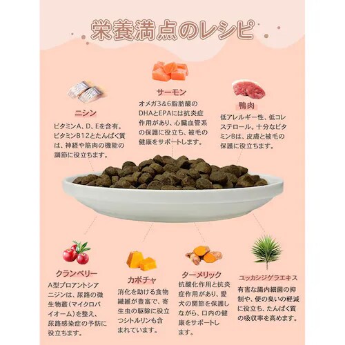 �`���[���@�A�_���g�h�b�O�@340g_7