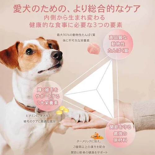 �`���[���@�A�_���g�h�b�O�@340g_10