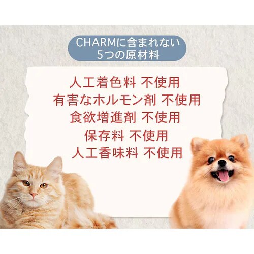 �`���[���@�T�[�t���^�[�t�h�b�O�@340g_3