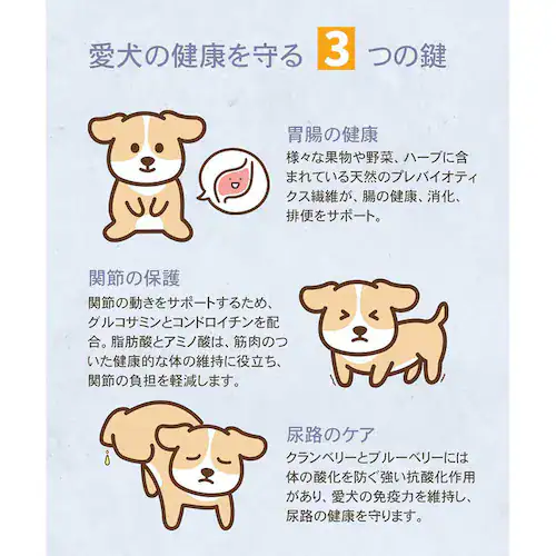 �`���[���@�T�[�t���^�[�t�h�b�O�@340g_9