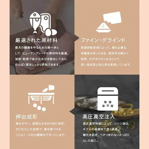 �`���[���@�T�[�t���^�[�t�h�b�O�@340g_10