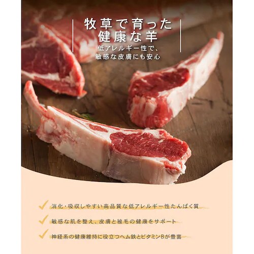 �`���[���@�������T�[�����h�b�O�@10kg�@ �h�b�O�t�[�h_7