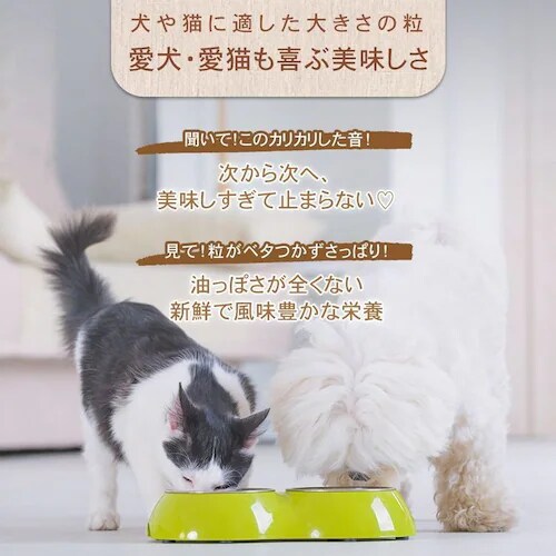 �`���[���@�������T�[�����h�b�O�@10kg�@ �h�b�O�t�[�h_12