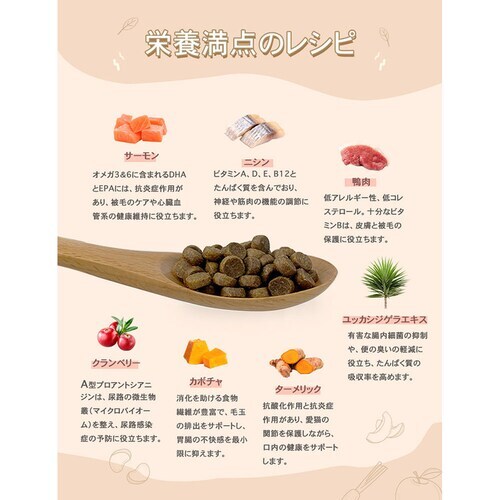 �`���[���@�A�_���g�L���b�g�@5.4kg_6