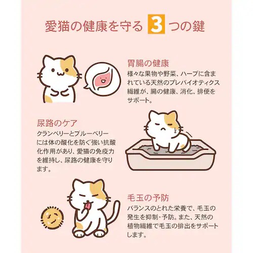 �`���[���@�A�_���g�L���b�g�@5.4kg_7