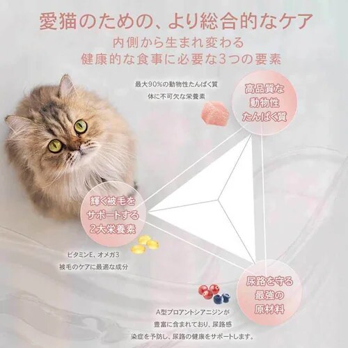 �`���[���@�A�_���g�L���b�g�@5.4kg_9