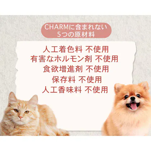 �`���[���@�A�_���g�L���b�g�@5.4kg_11