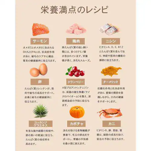 �`���[���@�T�[�t���^�[�t�L���b�g�@340g_6