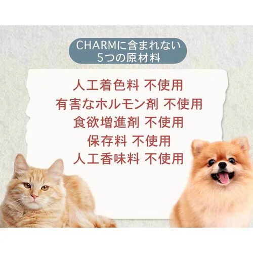 �`���[���@�T�[�t���^�[�t�L���b�g�@340g_11