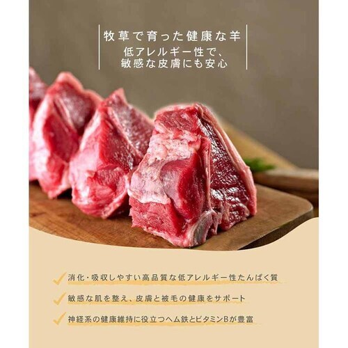 �`���[���@�������T�[�����L���b�g�@340g_5