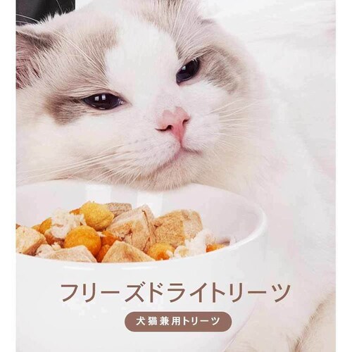 �`���[���@�t���[�Y�h���C�g���[�c�@�܂���L���[�u���X�b�|���� _10