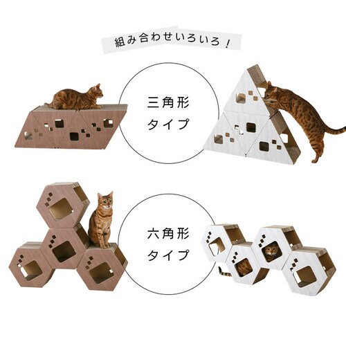 �_���{�[�����O�p�߂Ƃ� �ؖځi�A���\�j �z���C�g �܂Ƃ� �L���b�g�^���[_10