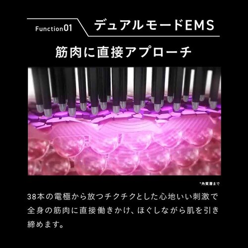 ブライト ELEKI BRUSH+(エレキブラシプラス) ブラック BRT-FSB180 【プラザセレクト】_10