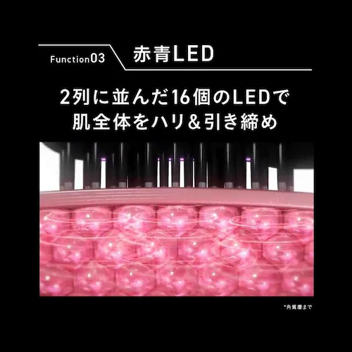 ブライト ELEKI BRUSH+(エレキブラシプラス) ブラック BRT-FSB180 【プラザセレクト】_12