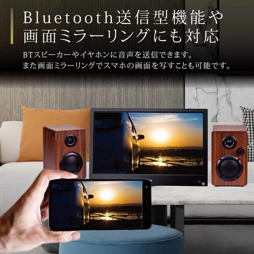 �_�C�j�`�d�q �`���[�i�[���X�X�}�[�g�e���r(11.6�C���`) �u���b�N WCM-ST1110 _12