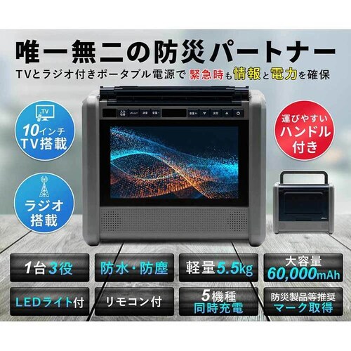 �_�C�j�`�d�q TV/���W�I���ڃ|�[�^�u���d�� PSTV-600 _12