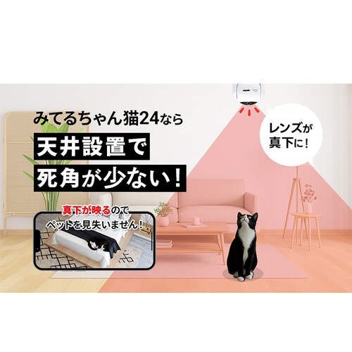 �˖{���� �y�b�g�J���� �݂Ă邿���L 24 WTW-NEKO245S _3