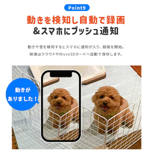 �˖{���� �y�b�g�J���� �݂Ă邿���L 23 ���x�v WTW-IPW268TTW-5 �y�v���U�Z���N�g�z_12