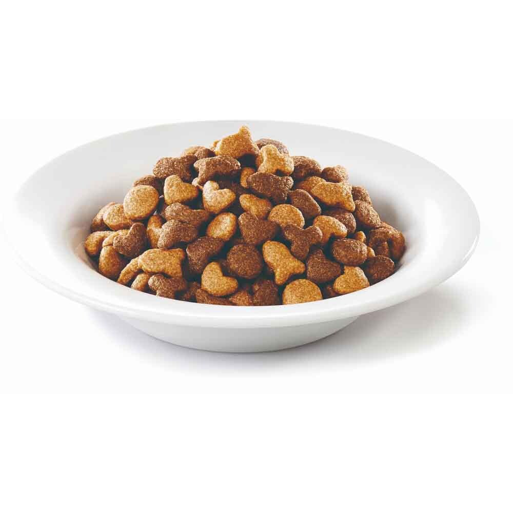 ピュリナ モンプチ バッグ 子ねこ 5種のブレンド 600g 合成着色料無