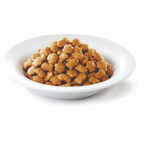 �s�����i �����v�` �o�b�O 15�� 5��̃u�����h 600g �������F�����Y�� �L���b�g�t�[�h �h���C�t�[�h_5