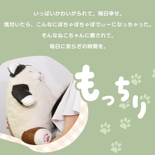 ��Ԃ͂��� �˂��m�芴 �����܂���L 27721-74 ����˂��̂܂���y�v���U�Z���N�g�z_5