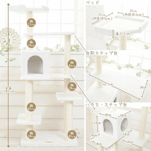 �L���b�g�^���[ Mau�^���[ �v���~�G �I�t�z���C�g mt-006 _3