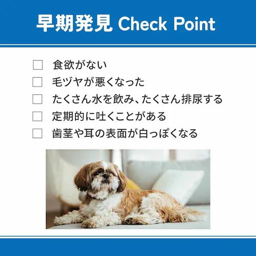 ベッツウェル 犬用食事療法食 皮膚ケア 1kg VET-005 ドッグフード_8