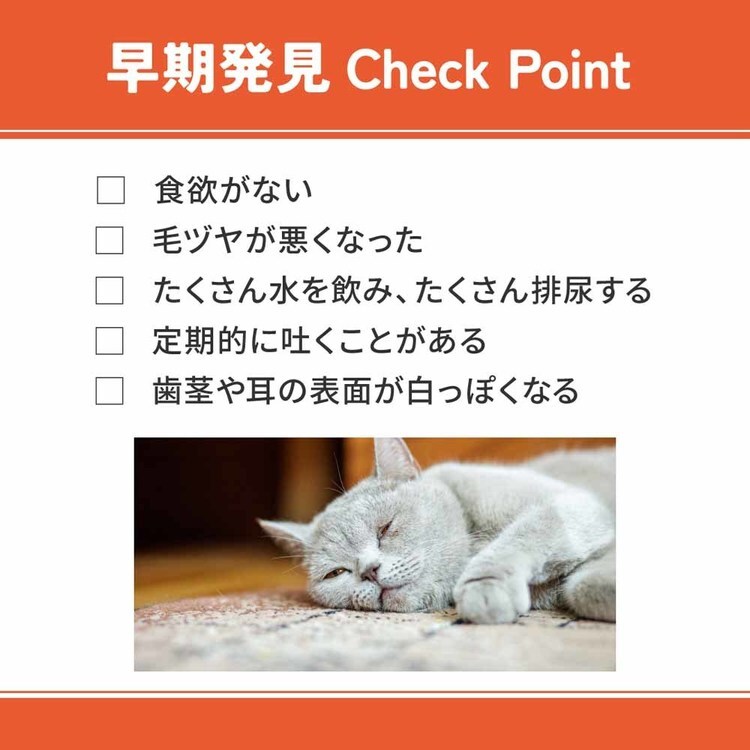 ベッツウェル 猫用食事療法食 500g VET-027 下部尿路ケア 7294065