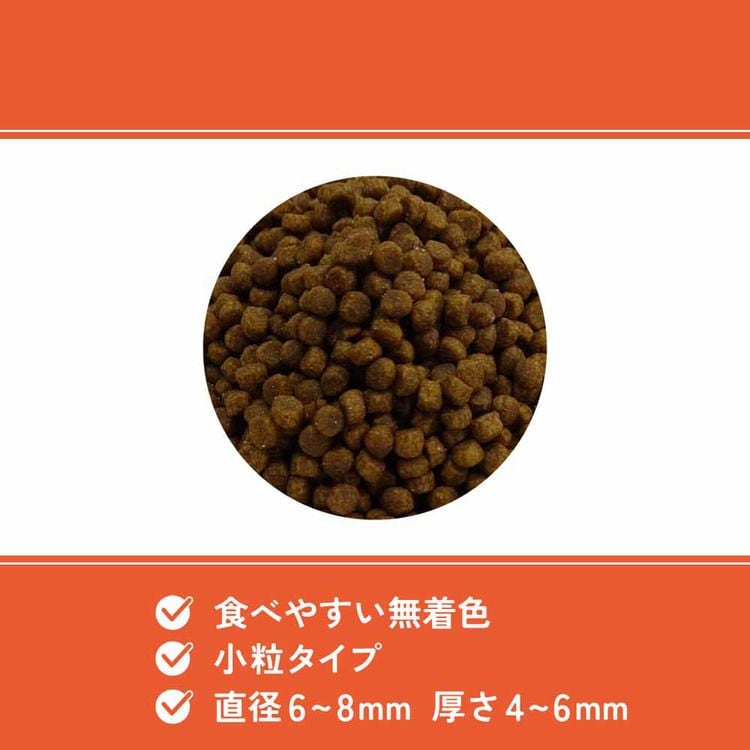 訳アリ】マルカン ベッツウェル 猫用食事療法食 500g VET-029 下部尿路