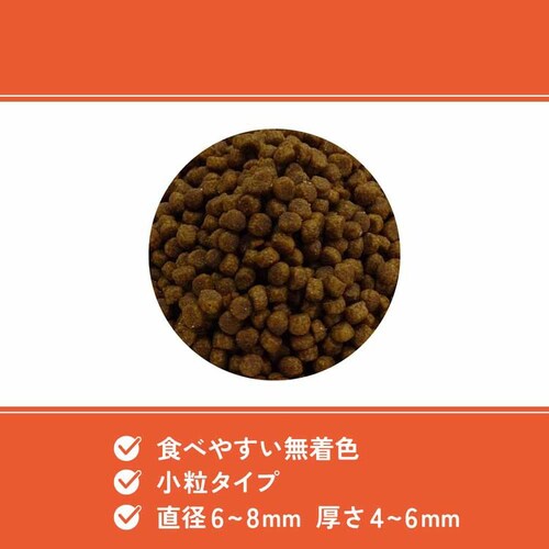 �x�b�c�E�F�� �L�p�H���Ö@�H 500g VET-029 �����A�H�P�A�ᎉ�b_18