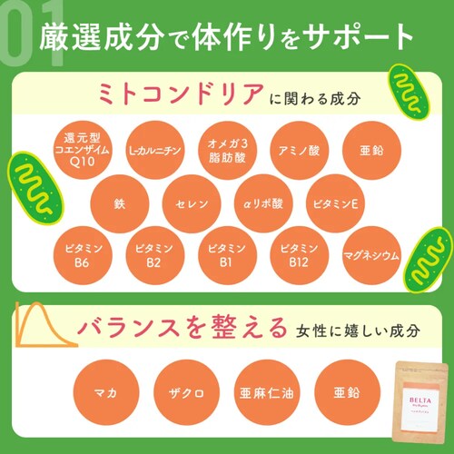 �x���^ �y�D���z�x���^�v�����Y��45�� �y�v���U�Z���N�g�z_4