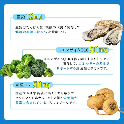 �x���^ �y�D�� �j���p�z�x���^�����V�[�h �y�v���U�Z���N�g�z_6