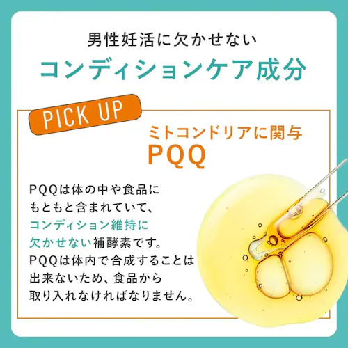 �x���^ �y�D�� �j���p�z�x���^�����V�[�h �y�v���U�Z���N�g�z_8