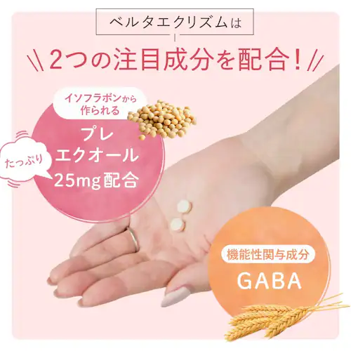 �x���^ �y�X�N���z�x���^�G�N���Y�� �y�v���U�Z���N�g�z_3