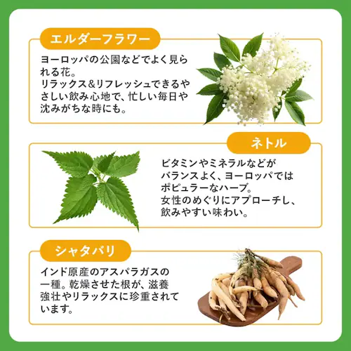 �x���^ �yPMS�z�x���^���C�{�X�e�B�[ �y�v���U�Z���N�g�z_7