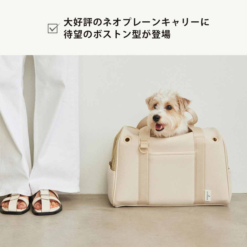 CITYDOG ペットリュック ネオプレーンボストンキャリー-S- ホワイト
