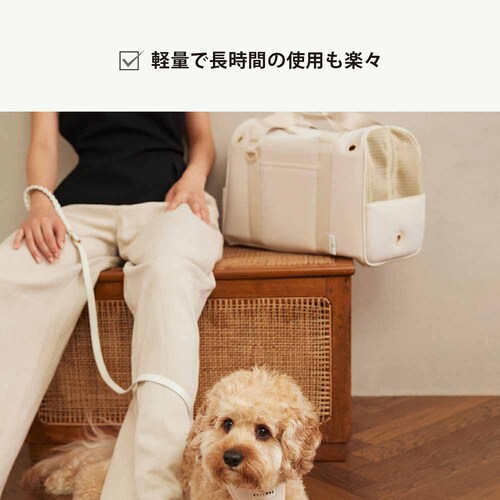 CITYDOG �y�b�g�����b�N �l�I�v���[���{�X�g���L�����[-S- �z���C�g_5