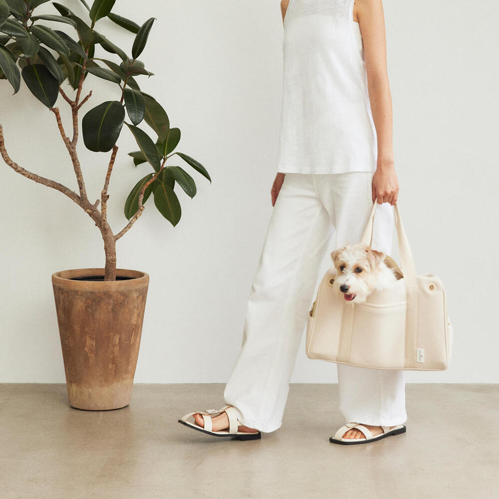 CITYDOG ペットリュック ネオプレーンボストンキャリー-S- ホワイト