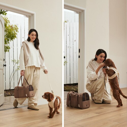 CITYDOG �y�b�g�����b�N �l�I�v���[���{�X�g���L�����[-S- �z���C�g_13