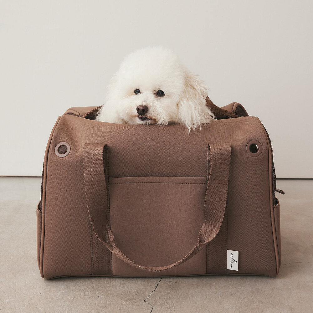 CITYDOG ペットリュック ネオプレーンボストンキャリー-S- ホワイト