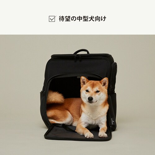 CITYDOG �y�b�g�����b�N �l�I�v���[���n�E�X�L�����[ �z���C�g_3