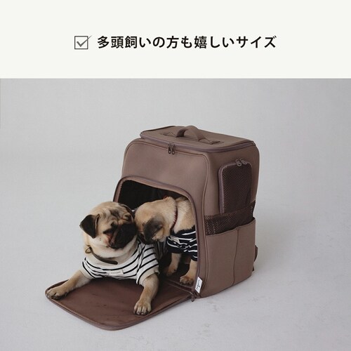 CITYDOG �y�b�g�����b�N �l�I�v���[���n�E�X�L�����[ �z���C�g_4